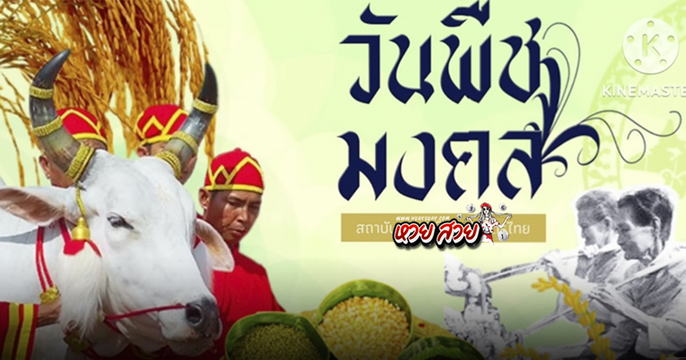 เลขปกสลาก 16/5/68