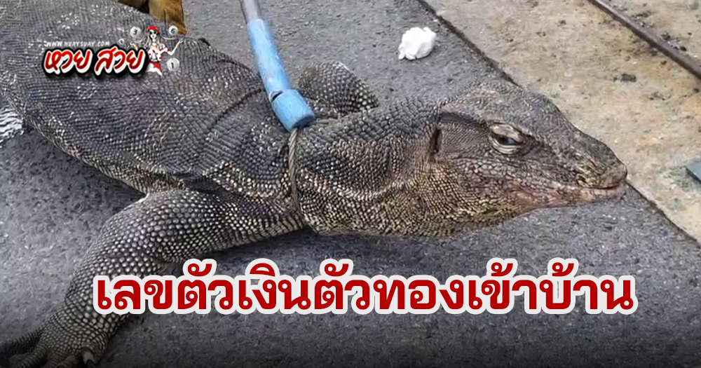 เลขตัวเงินตัวทอง 1/7/68