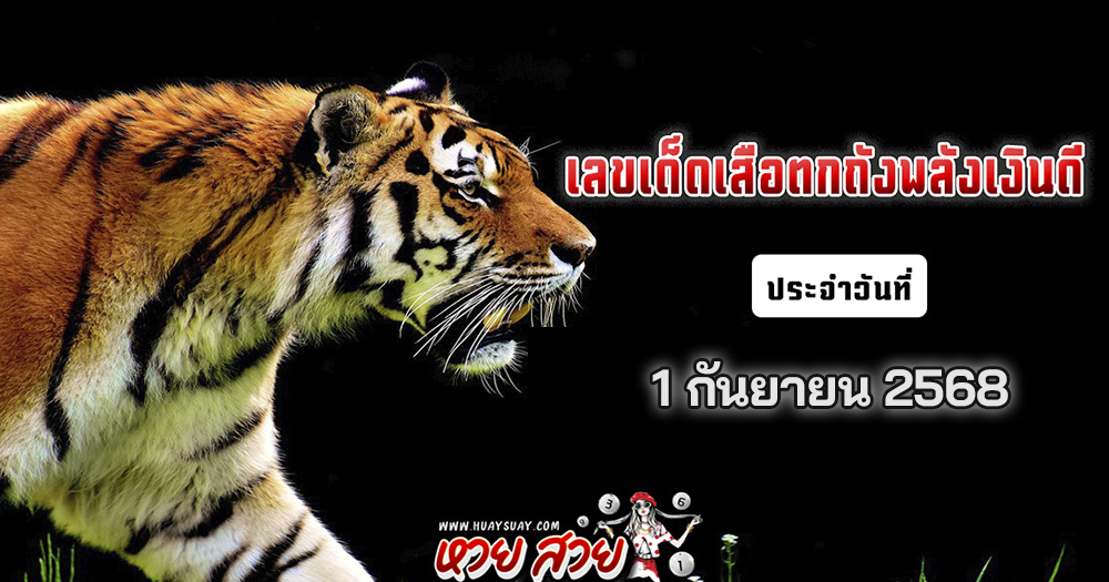 เสือตกถังพลังเงินดี 1/9/68