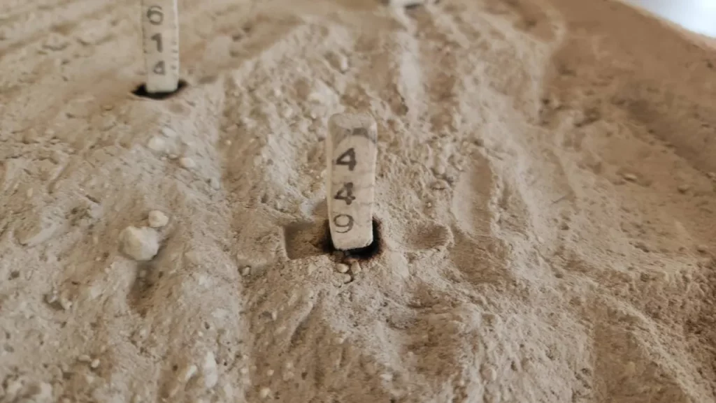 เลขธูปหลวงพ่อสมหวัง 