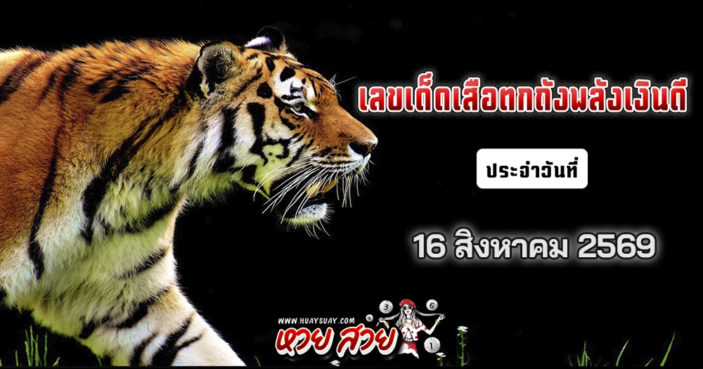 เลขเสือตกถัง 16/8/2569