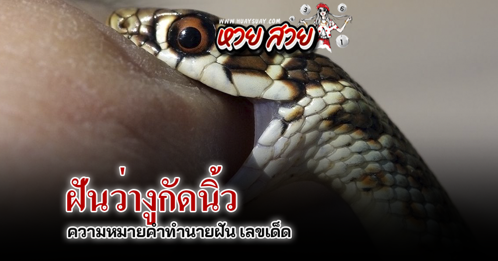 ฝันงูกัดนิ้ว